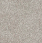GOA9823