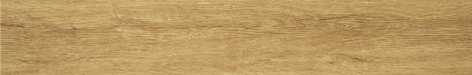 GWT4974